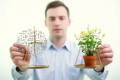 Illustration judiciously