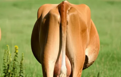 Illustration hooks - Image 1