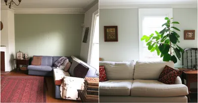 Illustration renovated