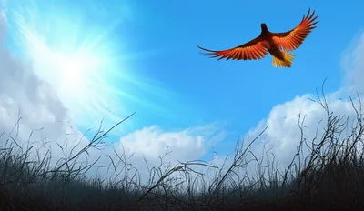 Illustration clears - Image 1