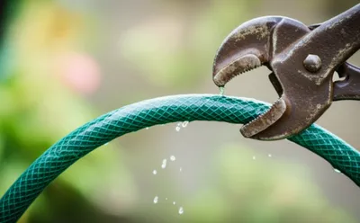 Illustration constriction - Image 1