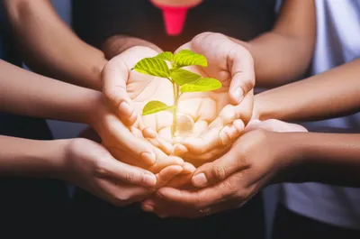 Illustration carry - Image 1