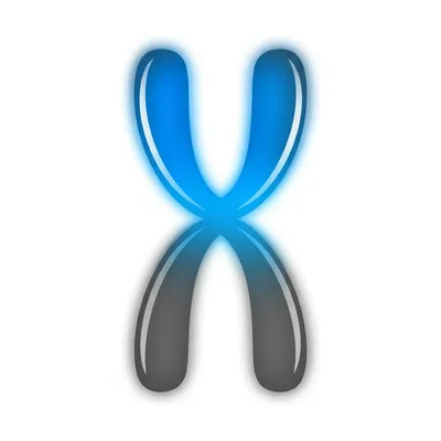 Illustration arms - Image 1