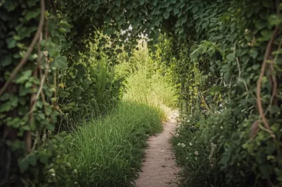 Illustration winding - Image 1