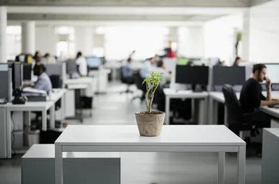 Illustration excess - Image 1