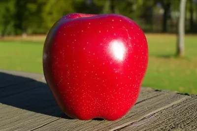 Illustration realer - Image 1