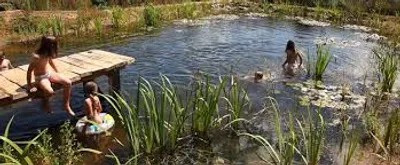 Illustration pool - Image 2