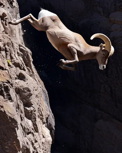 Illustration ramps - Image 2