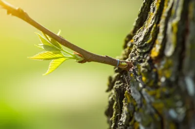 Illustration science - Image 1