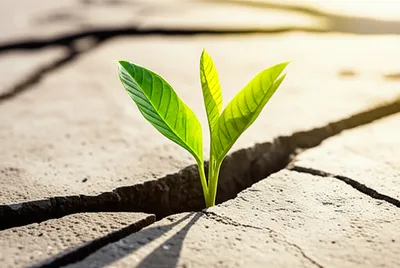 Illustration bettering - Image 1