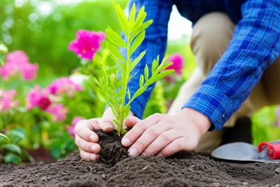 Illustration keepers - Image 1