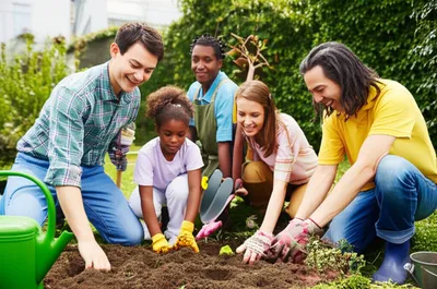 Illustration volunteerism