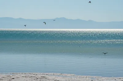 Illustration seas - Image 1