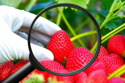 Illustration picks - Image 1