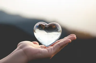 Illustration real - Image 1