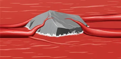 Illustration collaterals - Image 1