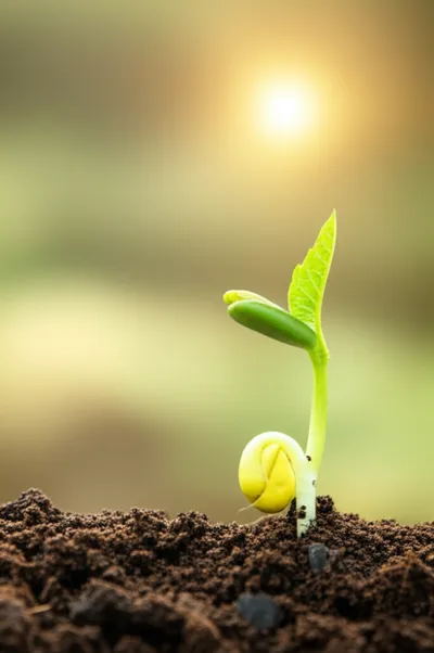 Illustration higher - Image 2