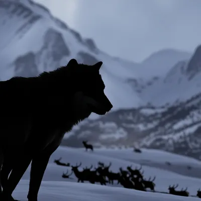 Illustration hunt - Image 1