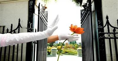 Illustration disallowing - Image 1