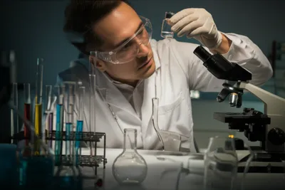 Illustration say - Image 1