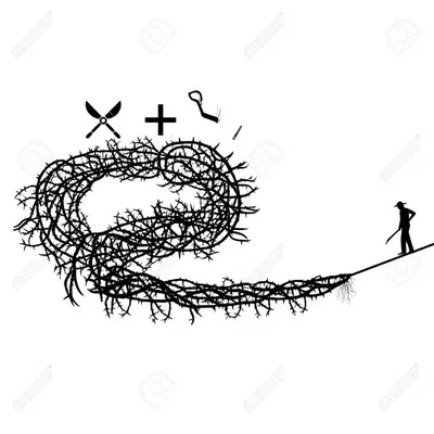 Illustration rationalise - Image 1