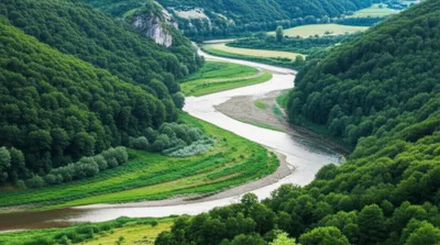 Illustration ply - Image 1