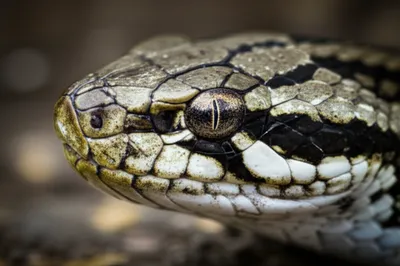 Illustration temporal - Image 1