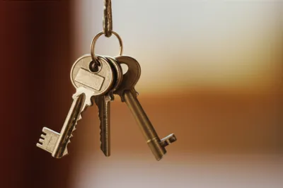 Illustration jingling - Image 1