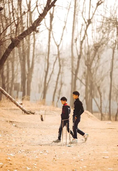 Illustration wickets - Image 2