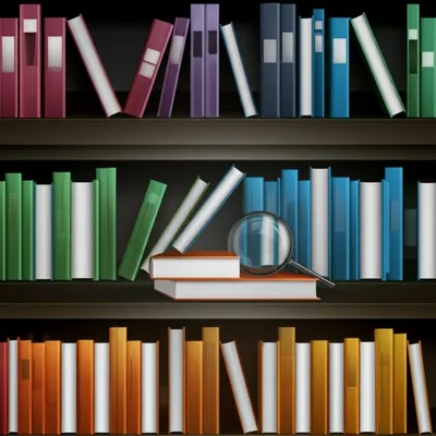 Hình ảnh minh họa nicest - Ảnh 1