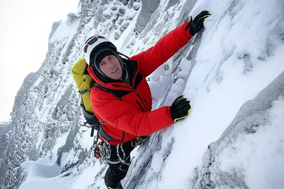 Illustration bid - Image 1