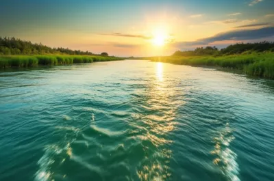 Illustration setting - Image 1