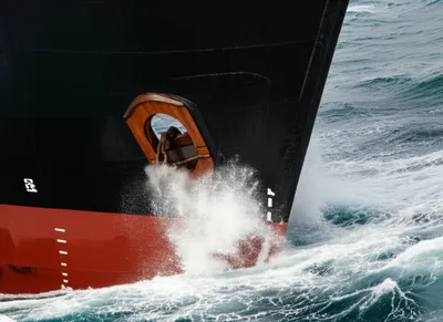 Illustration bucklers - Image 1