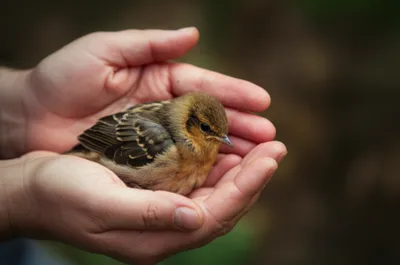 Illustration humaner - Image 1