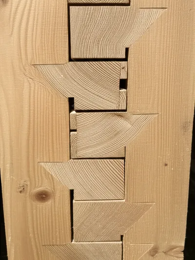 Illustration timbers - Image 1