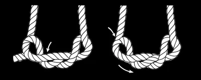 Illustration knot - Image 1