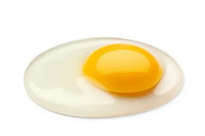 Illustration yolk - Image 1