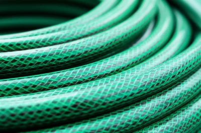 Illustration coiled - Image 1