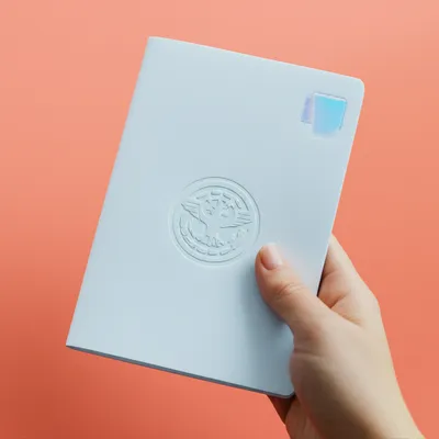 Illustration passport