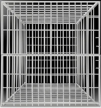 Illustration cage - Image 1