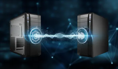 Illustration sock - Image 1