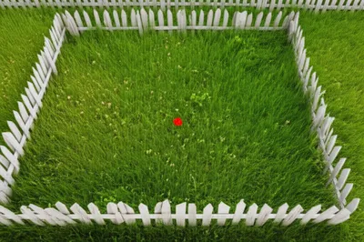 Illustration surround