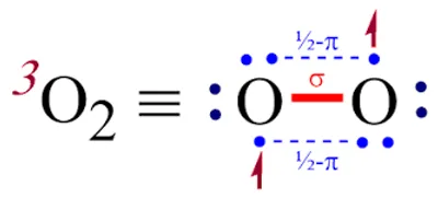Illustration triplet - Image 2