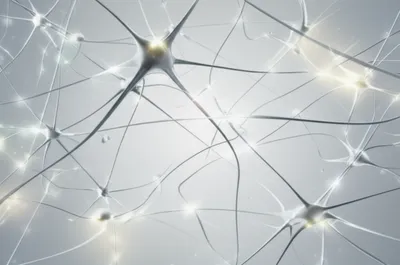 Illustration connexions - Image 2