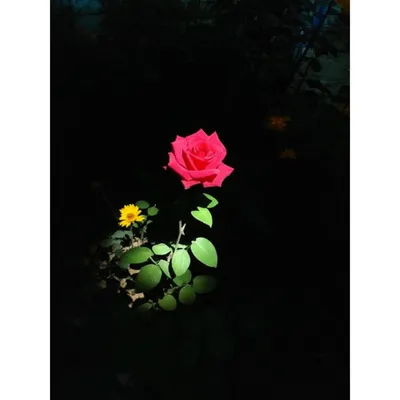 Illustration feature - Image 1