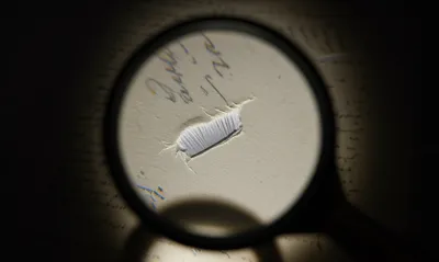 Illustration interrogates - Image 1