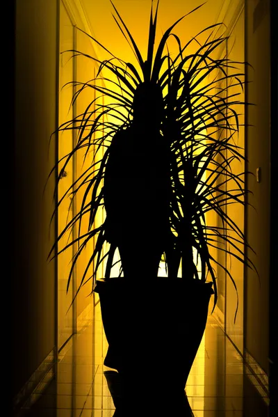 Illustration sneaking