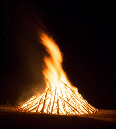 Illustration bale - Image 1