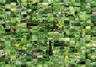 Illustration generalisation - Image 1