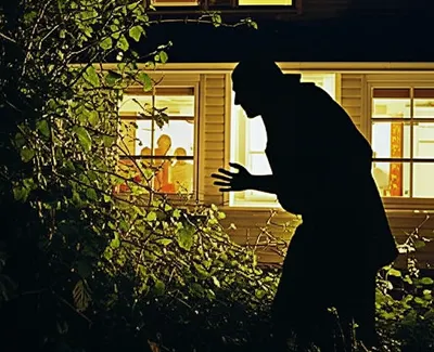 Illustration slink - Image 1